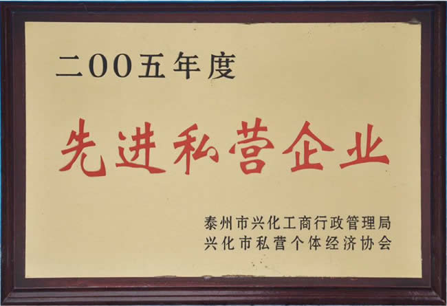 先进私营企业